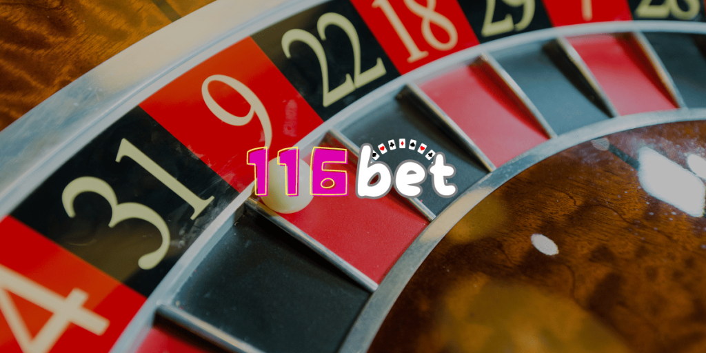 116bet app